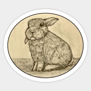Sepia Bunny Rabbit Sticker